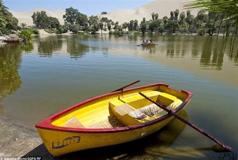 Bunganya terdapat pada tangkai yang merupakan terusan dari rimpang. (14 Gambar) Inilah Syurga Di Tengah Padang Pasir, Suasana ...