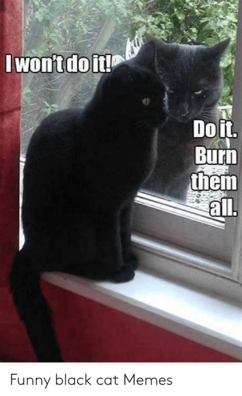 Angry Black Cat Dank Meme
