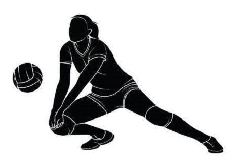 Csiq) in 2001 in canada, with a bold mission: Volleyball District 15 Standings With 2 Games Left - Ksst ...