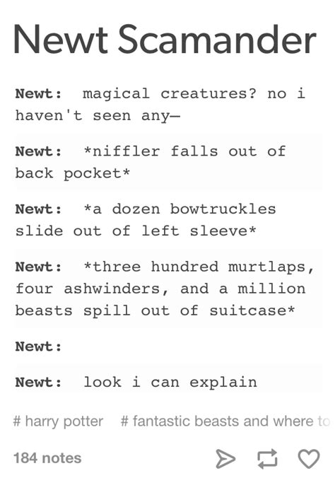 Fantastic Beasts And Where To Find Them Harry Potter Jokes Harry