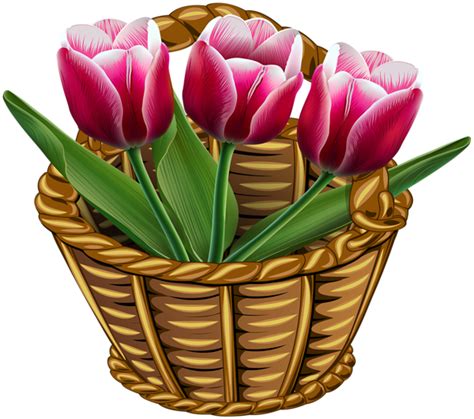 Basket With Tulips Transparent Png Clip Art Image Gallery