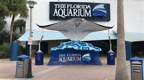 The Florida Aquarium Youtube