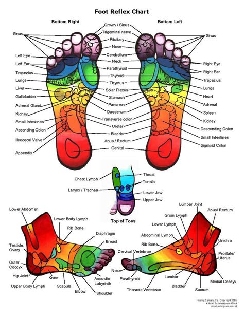 Reflexologychart Feethow Toreflexology