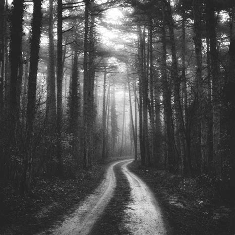 Misty Forest Road Limited Edition 1 Of 10 Photography By Igor