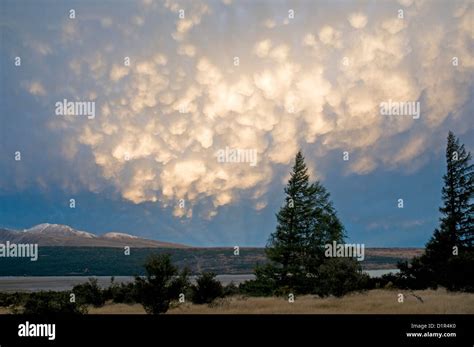 Striking Display At Sunset As Mammatus Cloud Is Under Lit By The Low