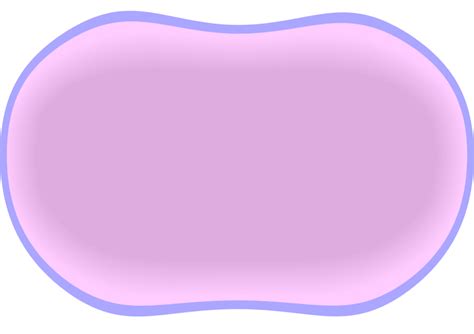 46 Animal Cell Png Transparent Pics Colorist