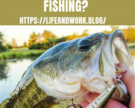 What Month Is Best For Largemouth Bass Fishing