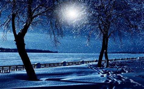 Snowy Winter Night Hd Wallpaper Background Image