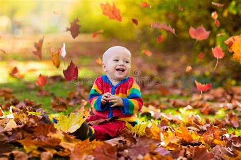 Child In Fall Park Kid With Autumn Leaves Stock Image Image Of Fall
