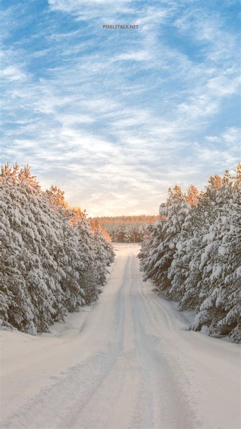 Download Snowy Path Winter Iphone Wallpaper