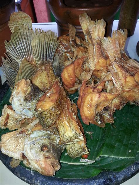 Cara membuat bumbu masak sayur asem bening sederhana yang enak. Catering, Nasi Box, Tumpeng & Snack : aneka lauk dan sayur ...