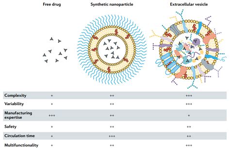 Drug Delivery Extracellular Vesicles Vs Synthetic Nanoparticles