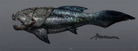 Top 10 Dunkleosteus Characteristics That Have Helped It Survive