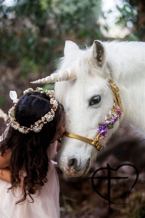 In addition to independent petting zoos, many general zoos contain a petting zoo. Unicorns, pretty ponies, dreams do come true and a petting ...