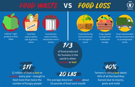 Fighting Food Waste And Food Loss Might Be The Best T You Can Give