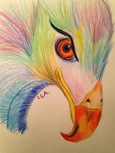 Eagle Colored Pencil Drawing By Lauren A My Sketches And Paintings