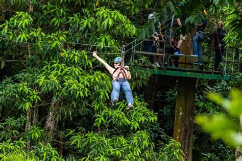 Stlucia Rain Forest Canopy Adventure Getyourguide