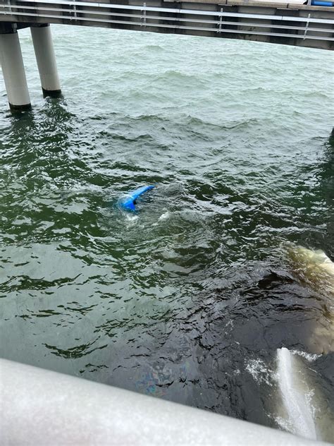 Body of driver that went off Chesapeake Bay Bridge-Tunnel identified