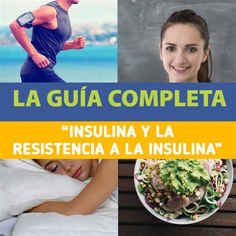 Insulina Y La Resistencia A La Insulina Tu Gu A Definitiva La Gu A De Las Vitaminas