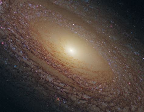 Fotos Espectaculares Del Espacio Universo Galaxia Espiral Estrellas Y Galaxias Y Cosmos