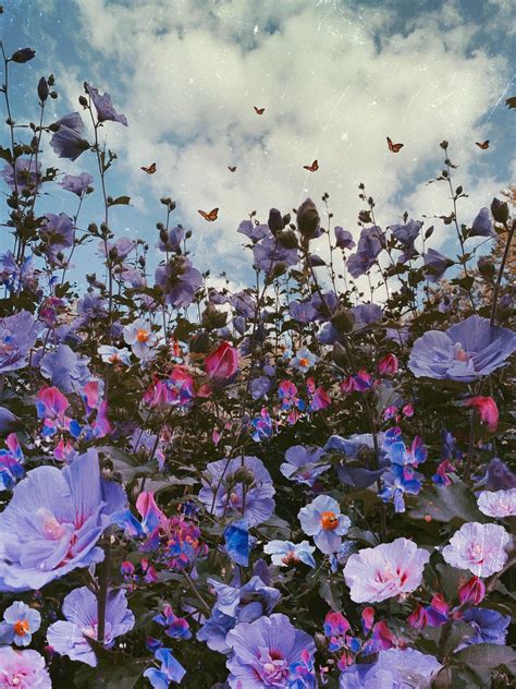 Madness Siobh N O Dwyer Art Purple Flowers Wallpaper Flower