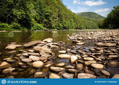 Beautiful Scenery Of A Mountain River Flowing Through The Dense Forest