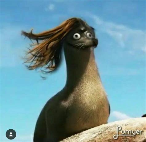 Stupid Seal From Finding Dory Transborder Media