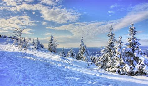 Snow Winter Cold - Free photo on Pixabay