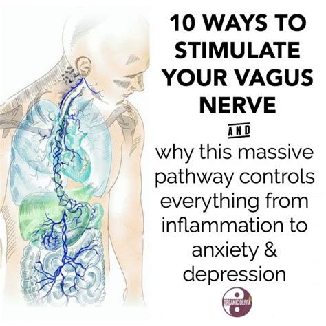 10 Ways To Instantly Stimulate Your Vagus Nerve For Gut Health