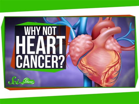 A Simple Explanation As To Why Heart Cancer Is Considered To Be Such An