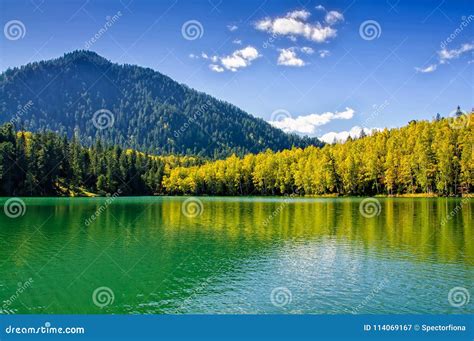Mountain Autumn Green Siberia Lake With Reflection Stock Image Image