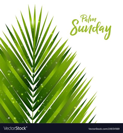 Palm Sunday Background Royalty Free Vector Image