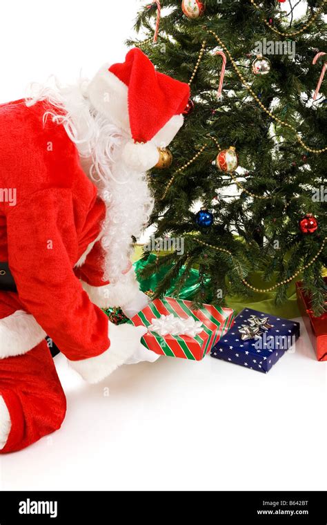 Santa Claus Putting Presents Under The Christmas Tree Isolated On White Stock Photo Alamy