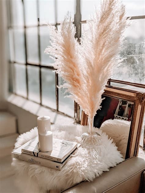 Large Pampas Grass Natural Dried Pampas Grass Decor Plume Etsy