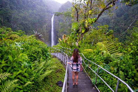 Akaka Falls Hike, Big Island, Hawaii - That Adventure Life