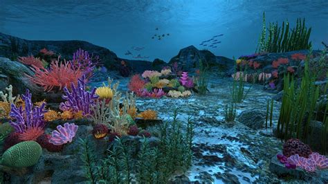 Ocean Floor Coral Reefs 3d Model 219 Max Free3d