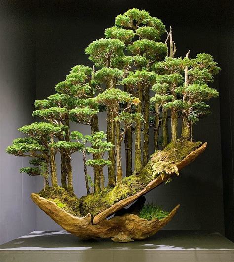 This Bonsai Tree Recently Sold For ¥1800000 Rbonsai