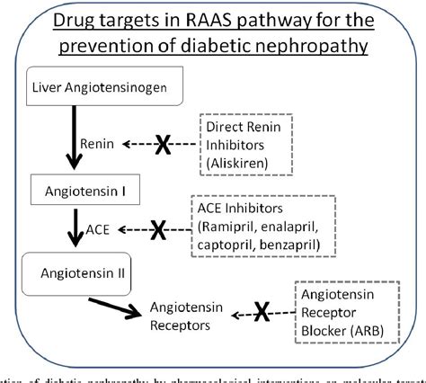 Table 1 From Renin Angiotensin Aldosterone System RAAS Its Biology