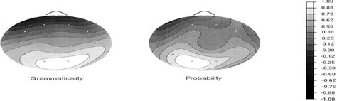 Scalp distribution of grammaticality and probability ...