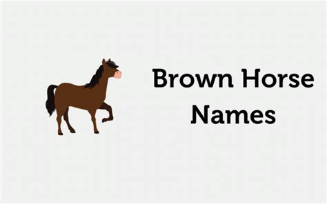 171 Brown Horse Names Amazing Ideas 2021 Equine Desire