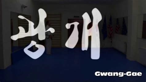 Gwang Gae Hyong Kampfkunstclub Seitenansicht Taekwon Do Salzburg Chiemgau Youtube