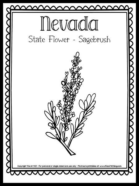 Nevada State Flower Coloring Page Sagebrush Free Printable The