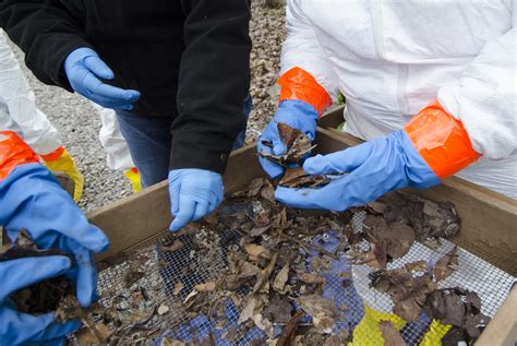 FBI Marks 20 Years of Training at the ‘Body Farm’ — FBI