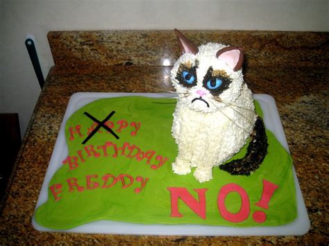 Ugly Cat Cake Captions Blog