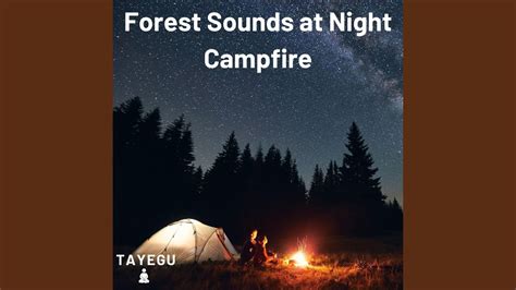 Forest Sounds At Night Campfire Camping Crickets Frogs And Owls 1 Hour