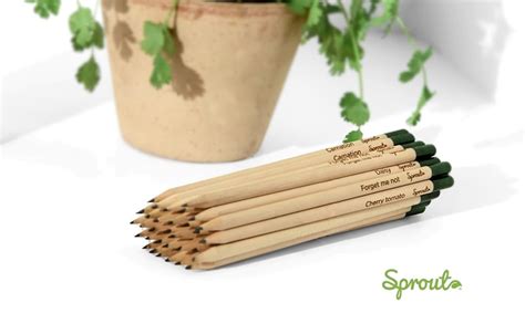 Sprout Pencils Original Edition Graphite Plantable Pencils With