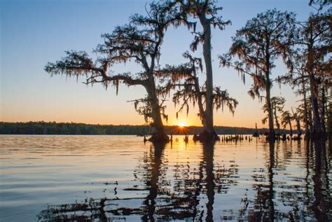 Louisiana Nature Photography Favorites The Heart Of Louisiana