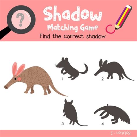 Shadow Matching Game Happy Pink Blobfish Animals Preschool Kids