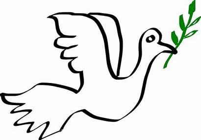 Dove Peace Clip Clipart Anti Peaceful War
