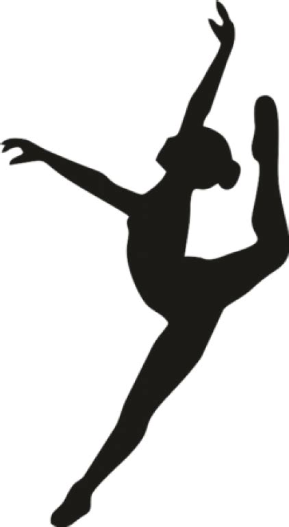 Studio 55 Dance Dance Studio Ballet Dancer Art Leap Dancer Silhouette